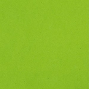 gomma eva verde ch7